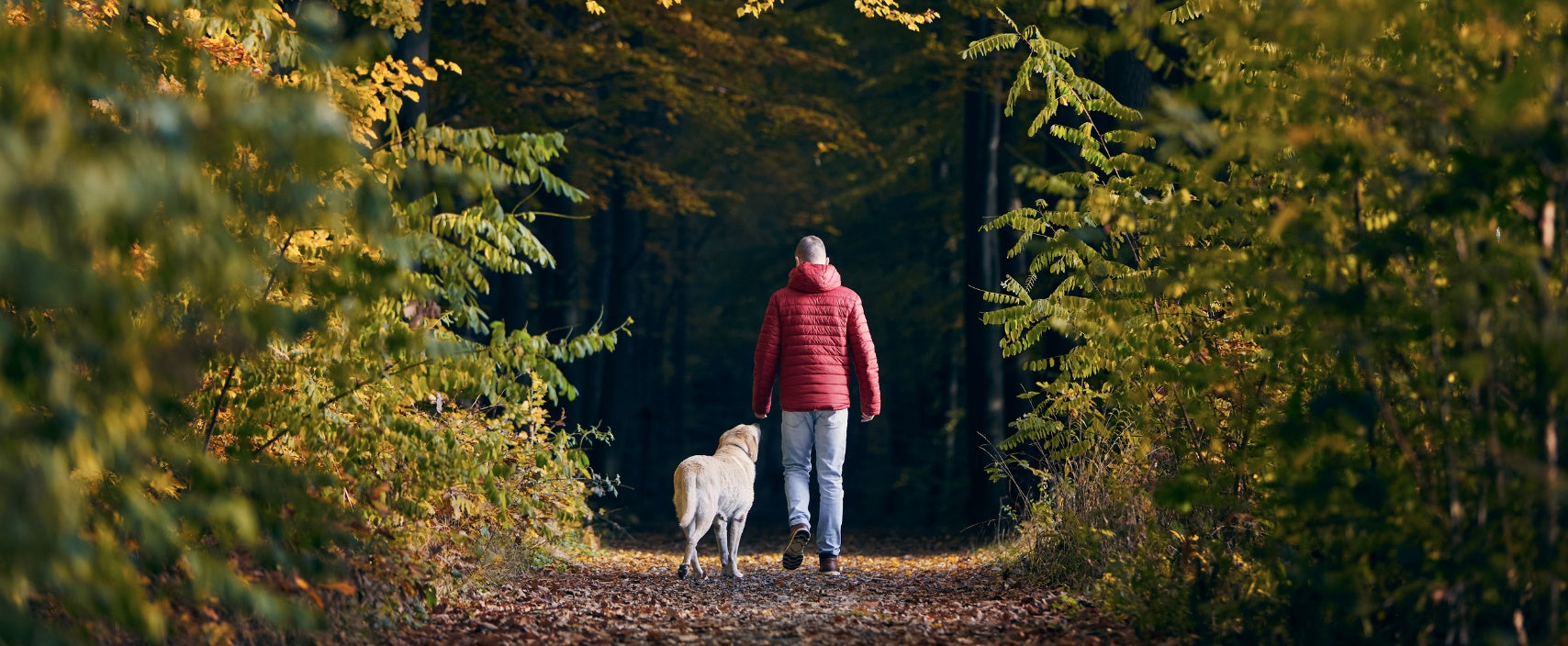 Hvordan du bygger en daglig rytme der holder hele livet?
