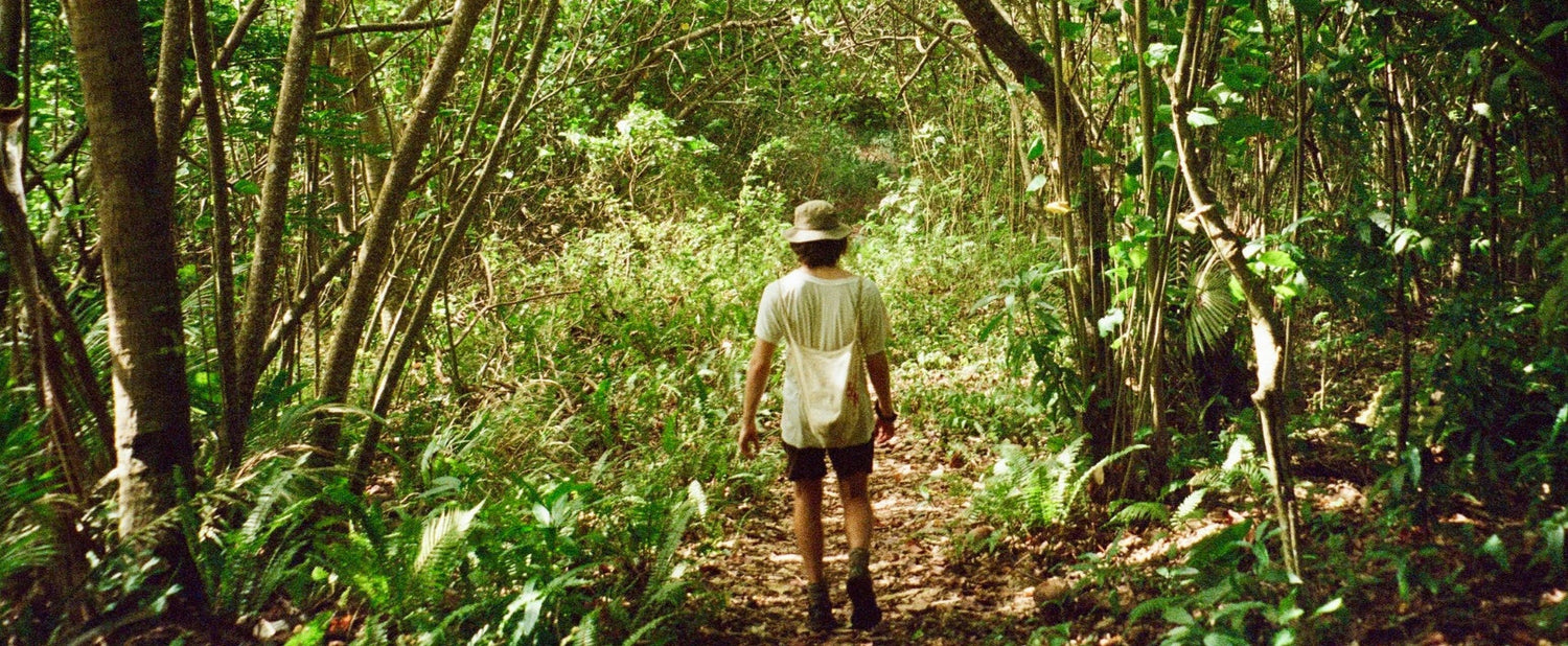 Hvad betyder tempo i hverdagen?