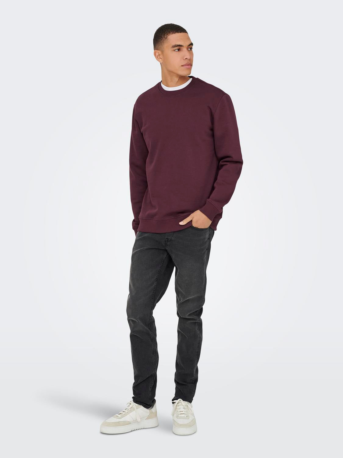 Onsconnor Life Reg Crew Neck Sweat Noos