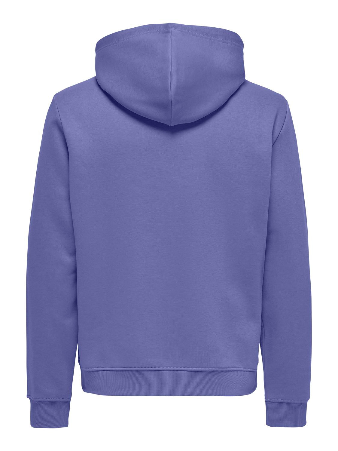 Onsconnor Life Reg Sweat Hoodie Noos