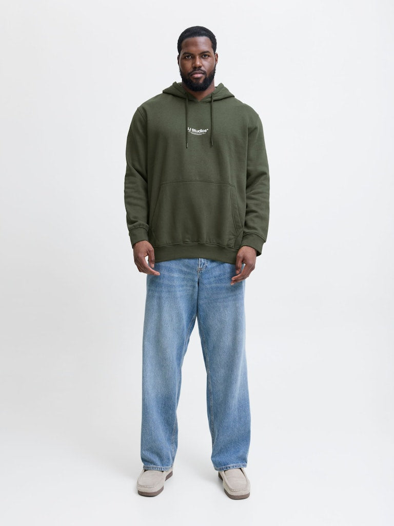 SWEATSHIRTS - Jjesoho Sweat Hood Noos PLS - - Hr Ravn