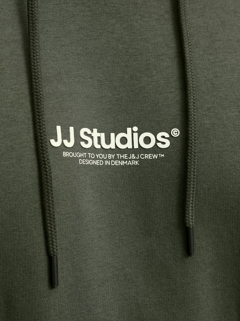 SWEATSHIRTS - Jjesoho Sweat Hood Noos PLS - - Hr Ravn