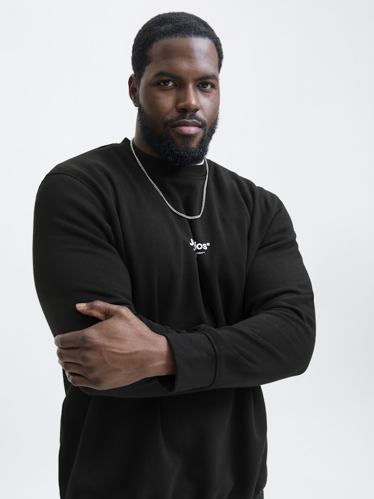 SWEATSHIRTS - Jjesoho Sweat Crew Neck Noos PLS - - Hr Ravn