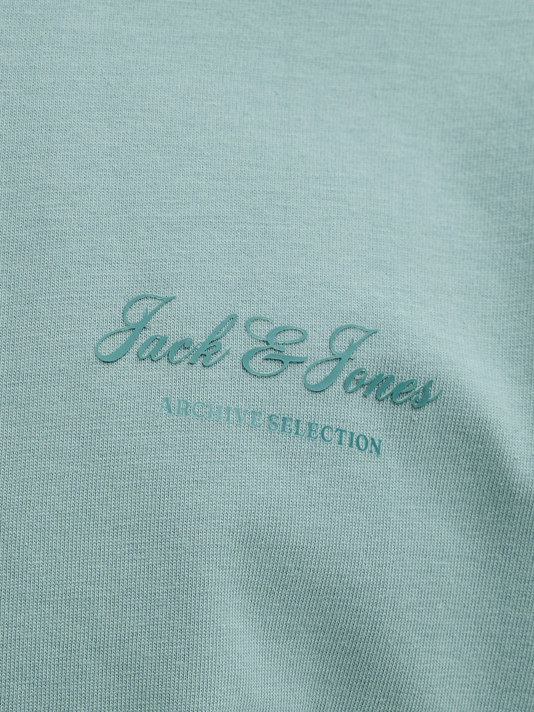 JJEARCHIVE GRAPHIC TEE SS O-NECK NOOS