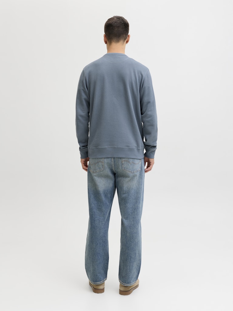 SWEATSHIRTS - JJEDOVER CLASSIC SWEAT CREW NECK SN - - Hr Ravn