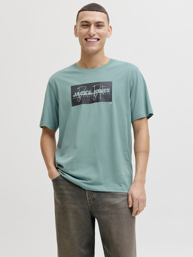 T-SHIRTS - JJCOLE PRINT TEE SS CREW NECK LN - - Hr Ravn