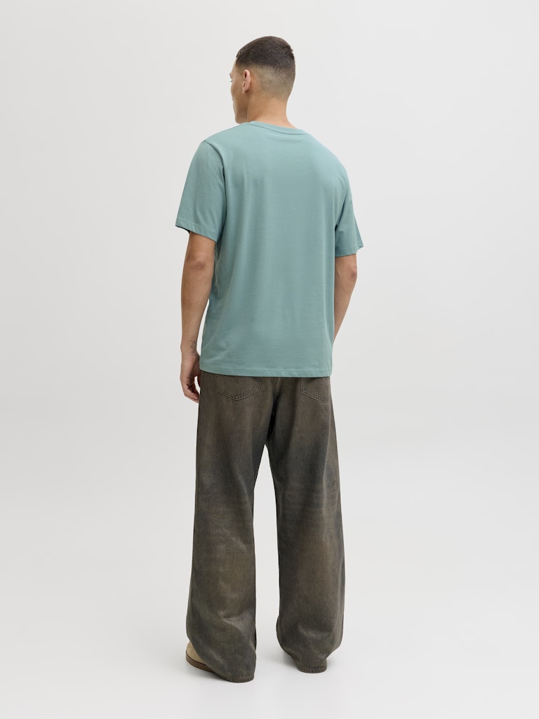 T-SHIRTS - JJCOLE PRINT TEE SS CREW NECK LN - - Hr Ravn