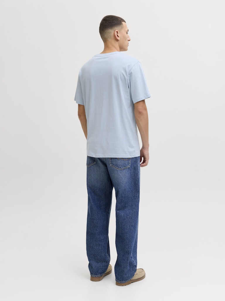 T-SHIRTS - JJCOLE PRINT TEE SS CREW NECK LN - - Hr Ravn