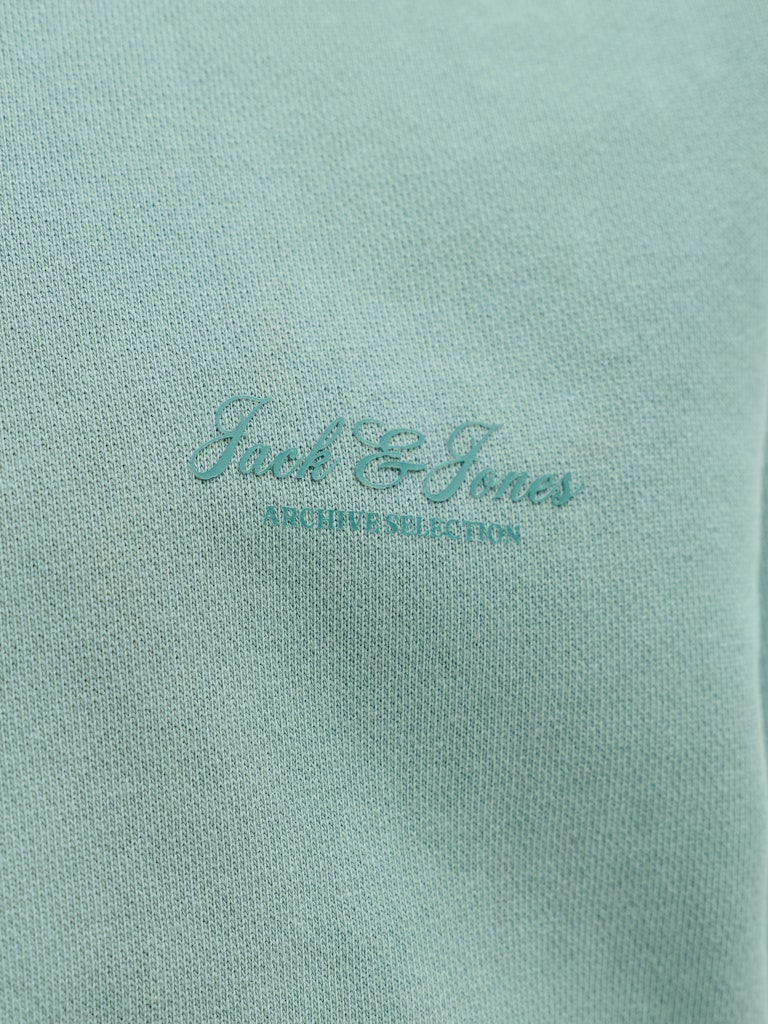 JJEARCHIVE GRAPHIC SWEAT CREW NECK NOOS