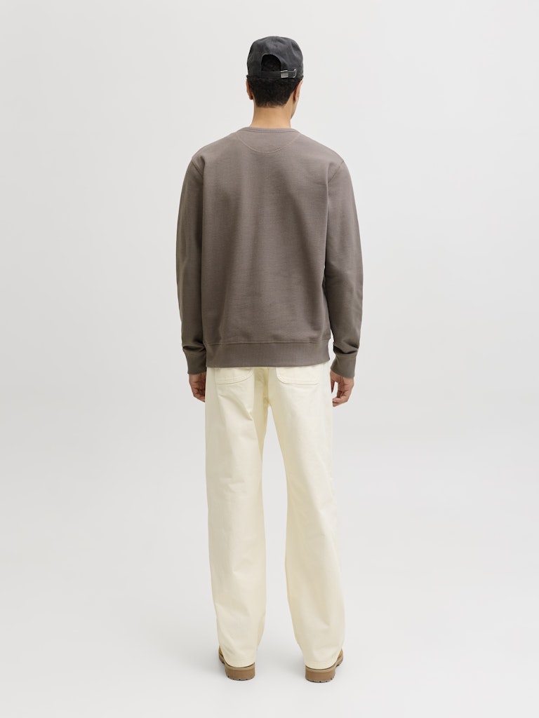 SWEATSHIRTS - JJEDOVER CLASSIC SWEAT CREW NECK SN - - Hr Ravn