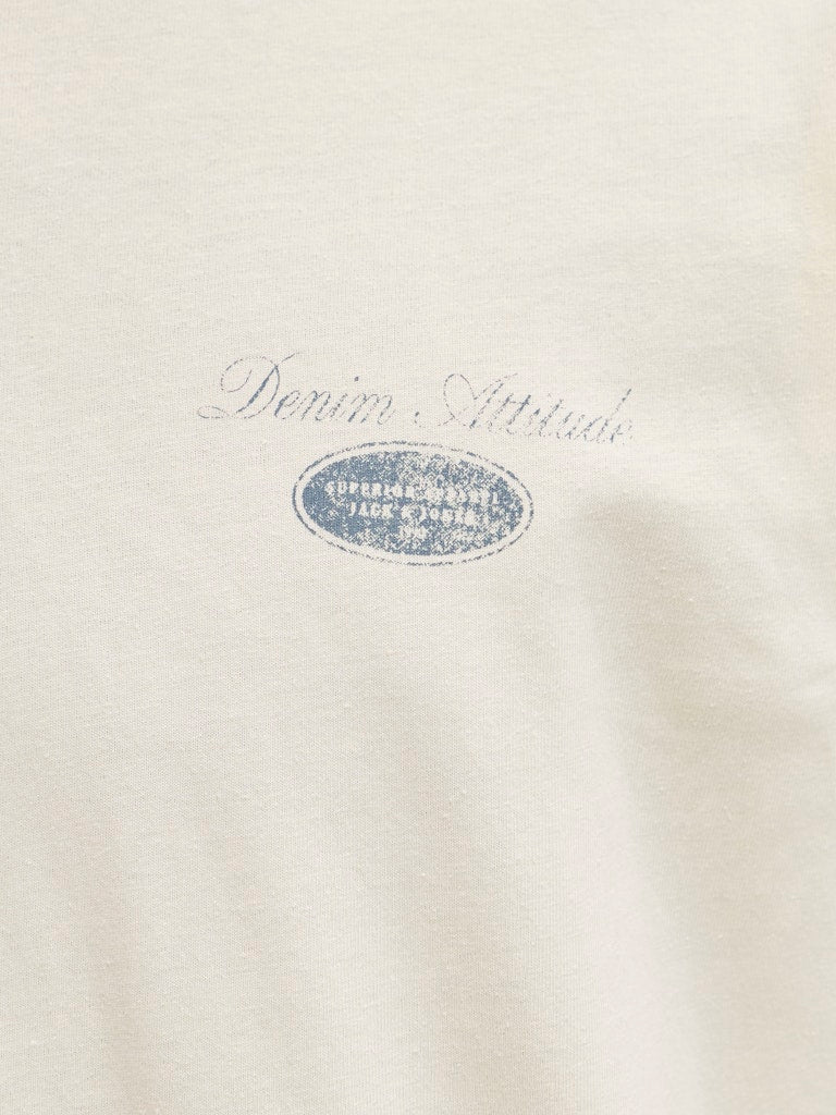 JJEDOVER GRAPHIC TEE SS CREW NECK SN