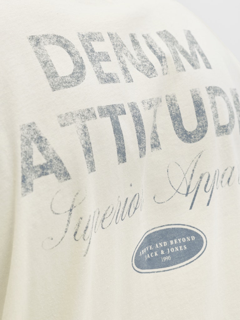 JJEDOVER GRAPHIC TEE SS CREW NECK SN