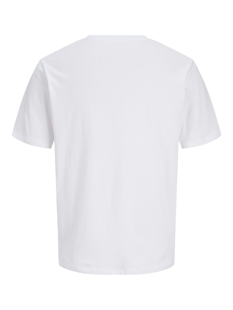 JJDEVIN DAYTONA PRINT TEE SS CREW LN