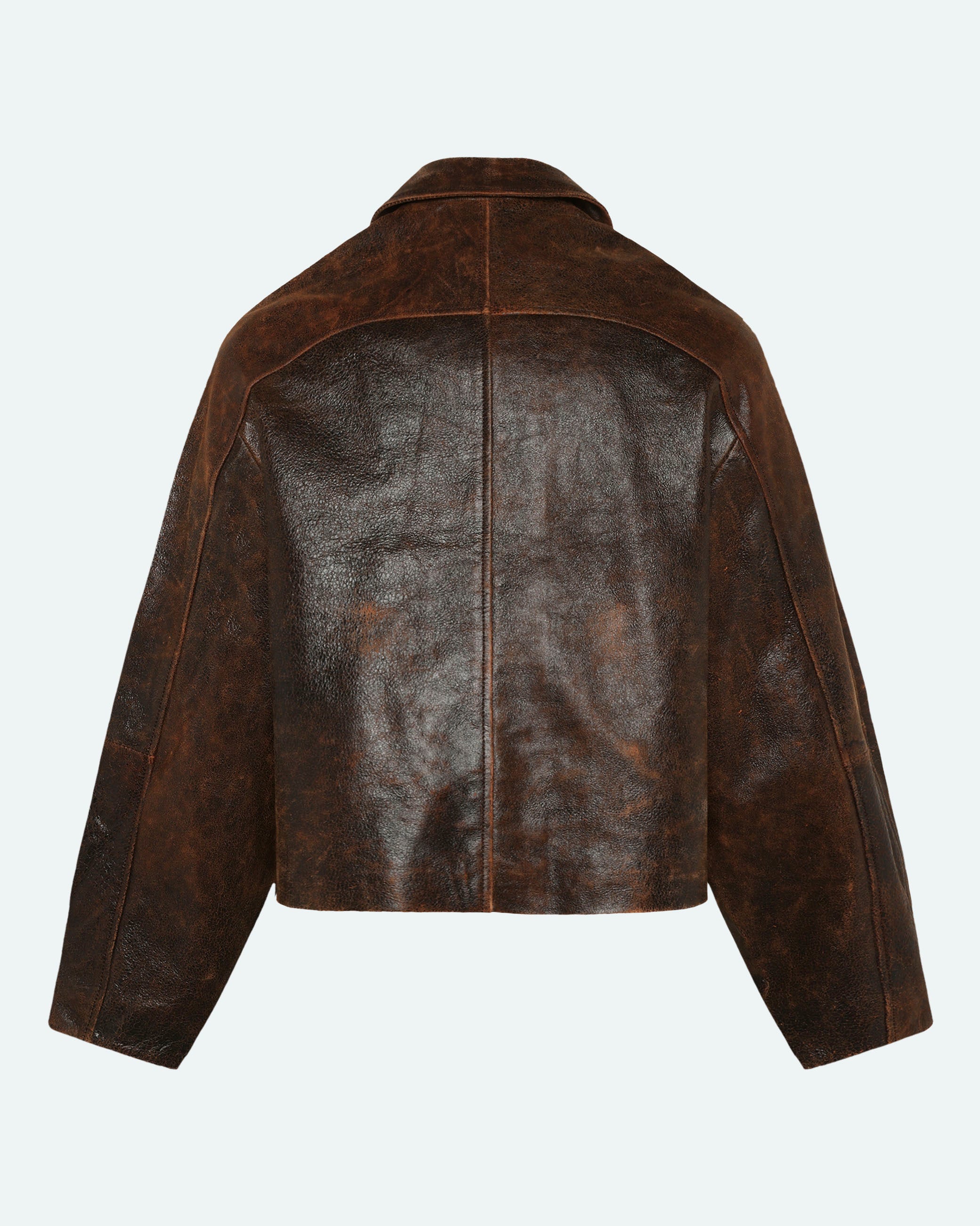 minimum male Lance Jacket 4447 Leather Jacket 1914 Seal Brown