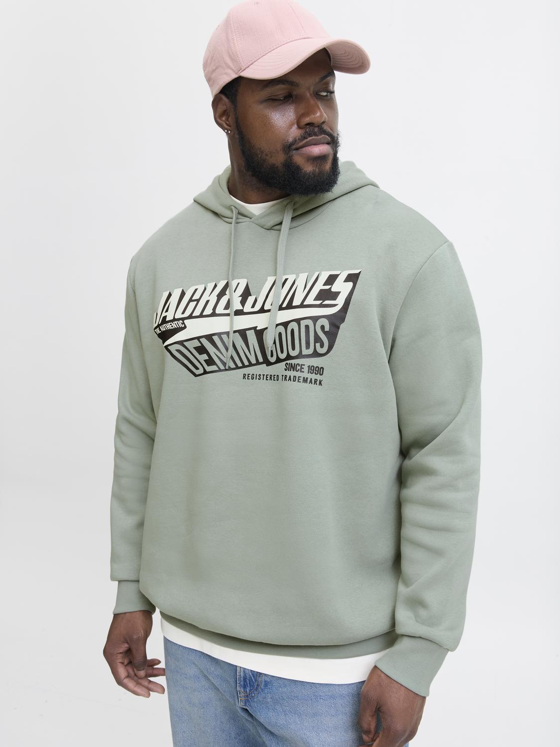 Sweatshirts - Jjelogo Sweat Hood 2 Col 25/26 Noos Pls - - Hr Ravn