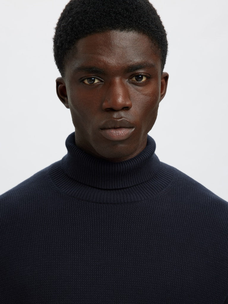 Slhdane LS Knit Structure Roll Neck Noos