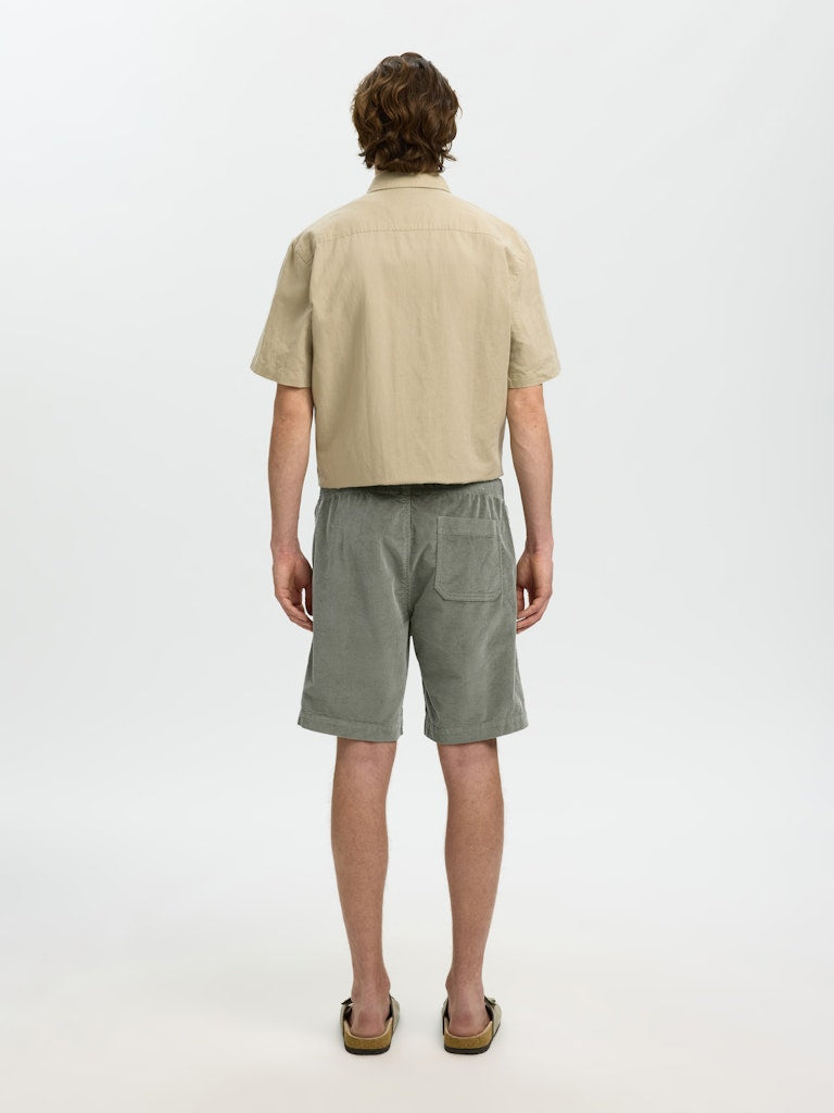 Slhregular-Jace Corduroy Shorts