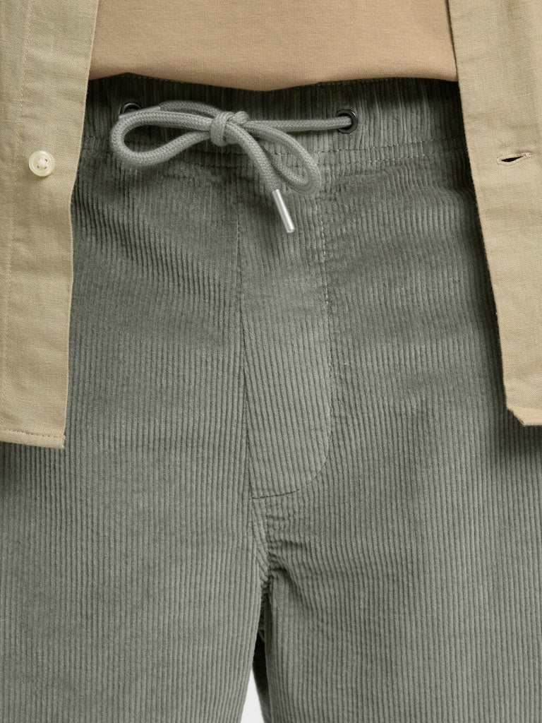 Slhregular-Jace Corduroy Shorts