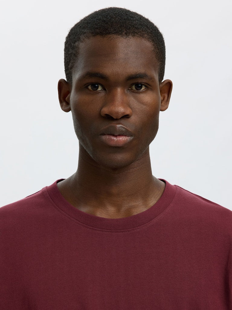 Slhaspen Ss O-Neck Tee Noos