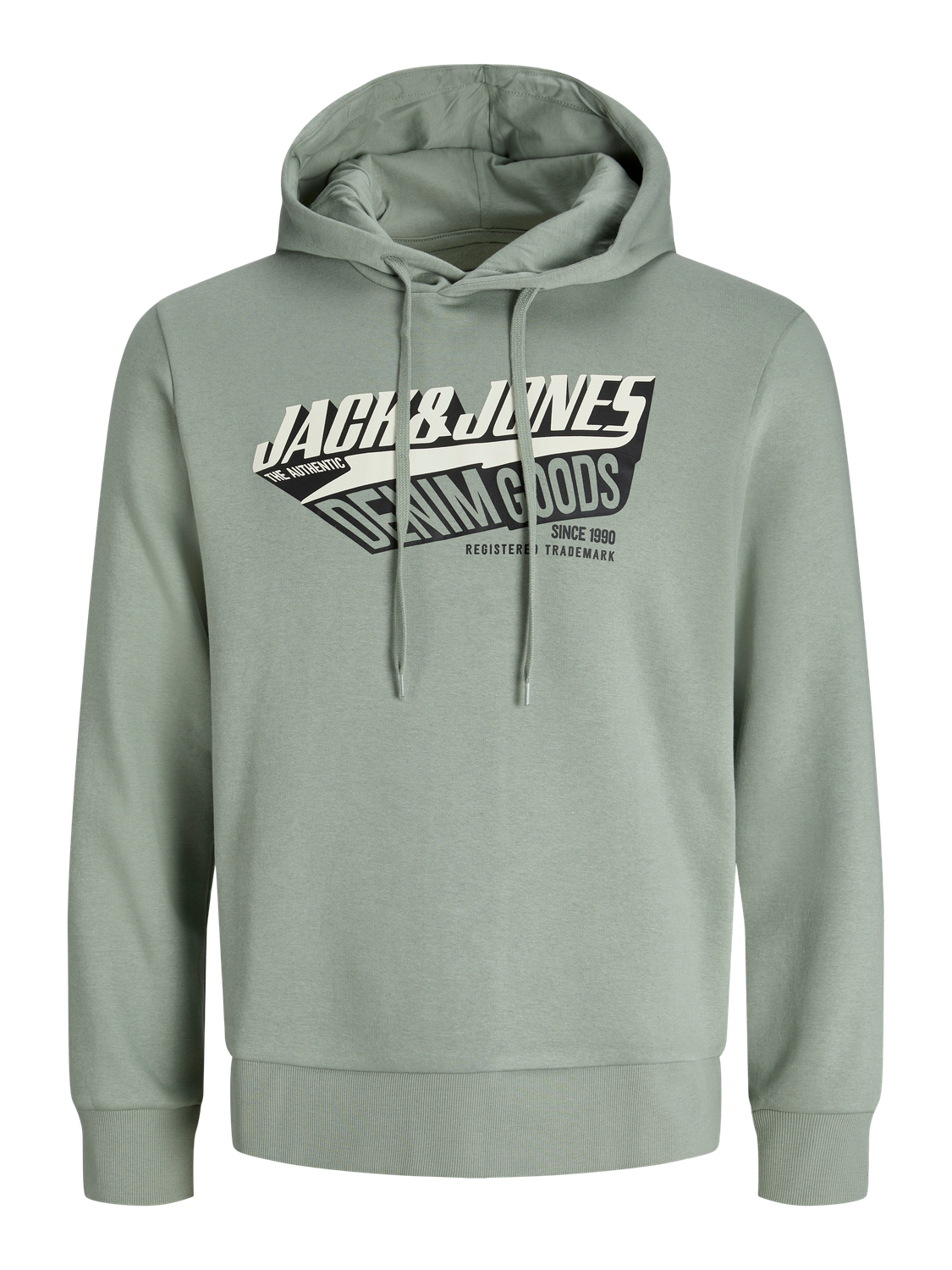 Sweatshirts - Jjelogo Sweat Hood 2 Col 25/26 Noos Pls - - Hr Ravn