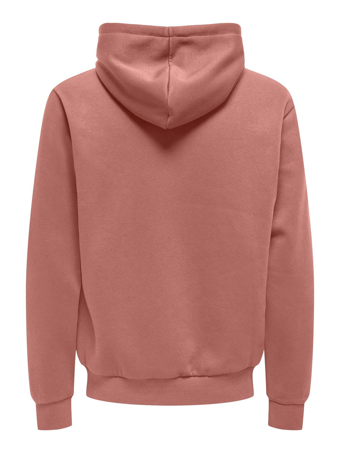 Onsceres Hoodie Sweat Noos