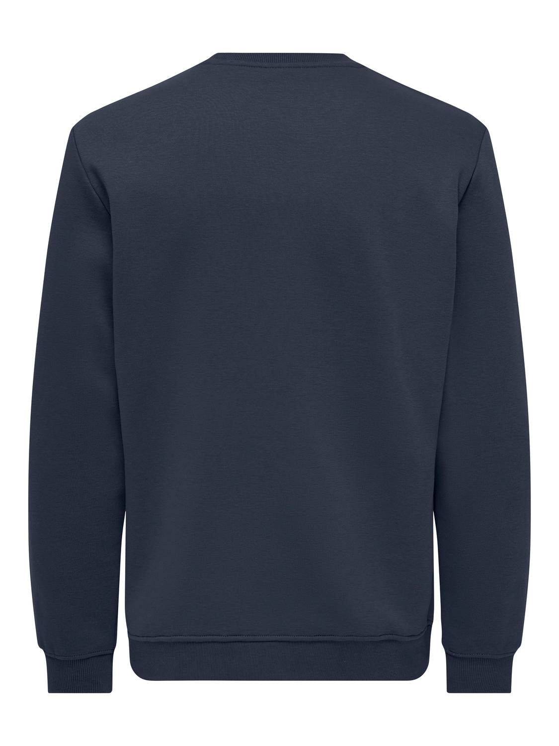 Onsconnor Life Reg Crew Neck Sweat Noos