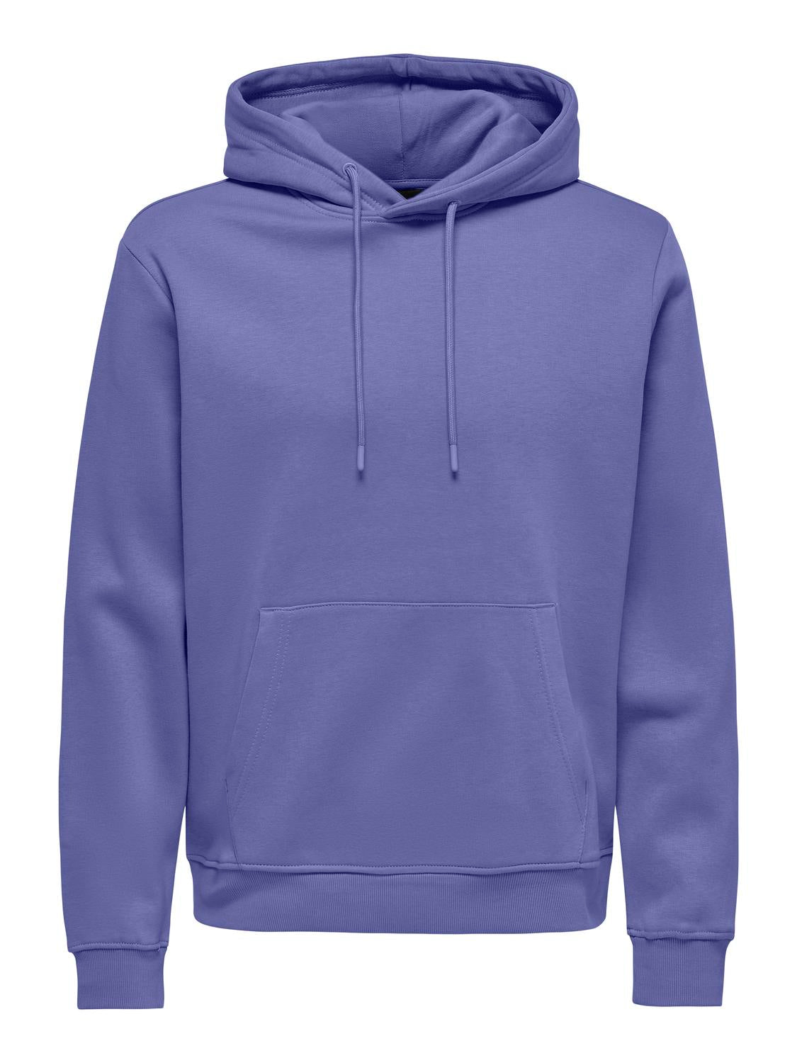 Onsconnor Life Reg Sweat Hoodie Noos