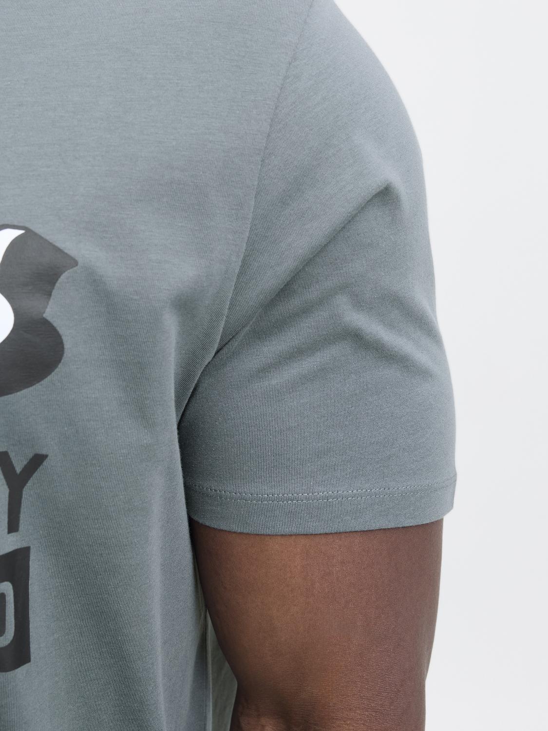 T-shirts - Jjelogo Tee Ss Oneck 2 Col Aw25 Noos Pls - - Hr Ravn