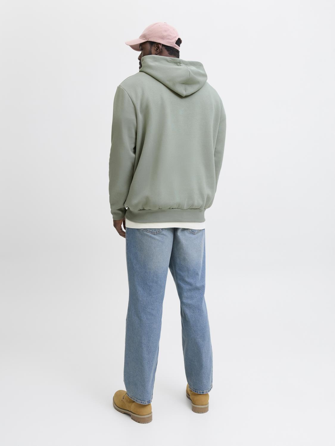 Sweatshirts - Jjelogo Sweat Hood 2 Col 25/26 Noos Pls - - Hr Ravn