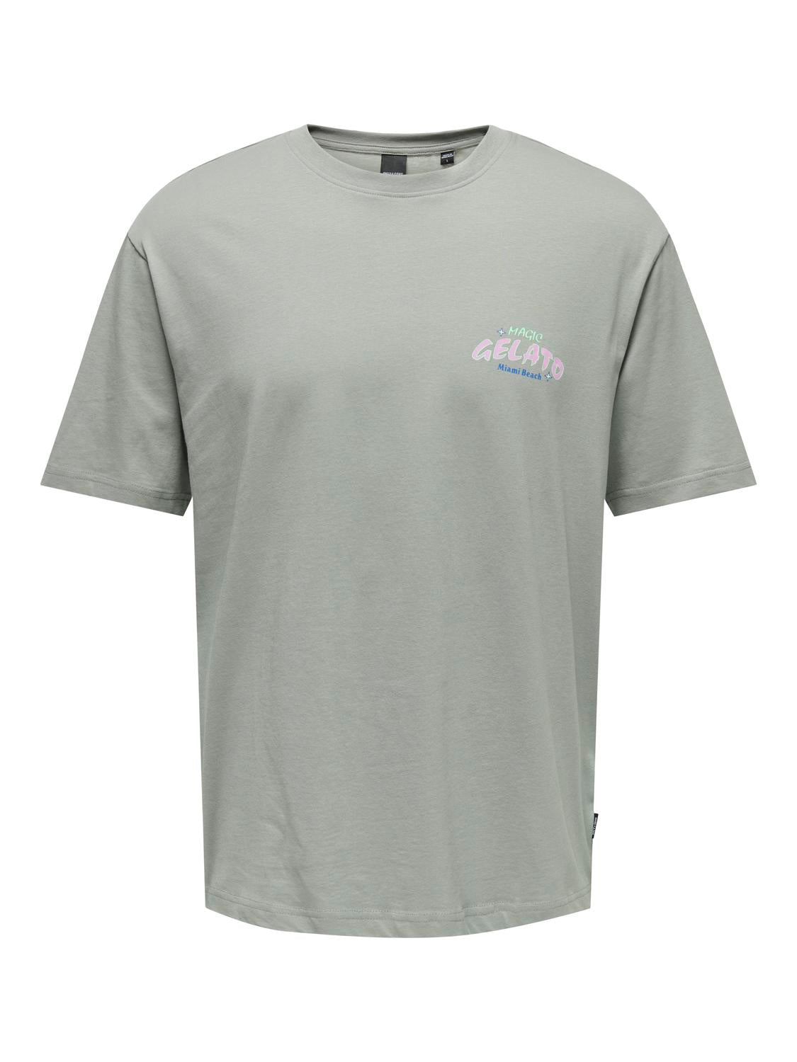 T-shirts - Onskeane Rlx Ss Print Tee Noos - - Hr Ravn