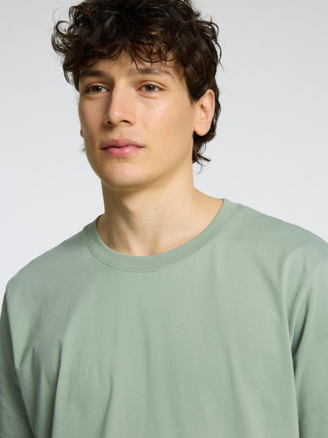 T-SHIRTS - Slhaspen Ss O-Neck Tee Noos - - Hr Ravn
