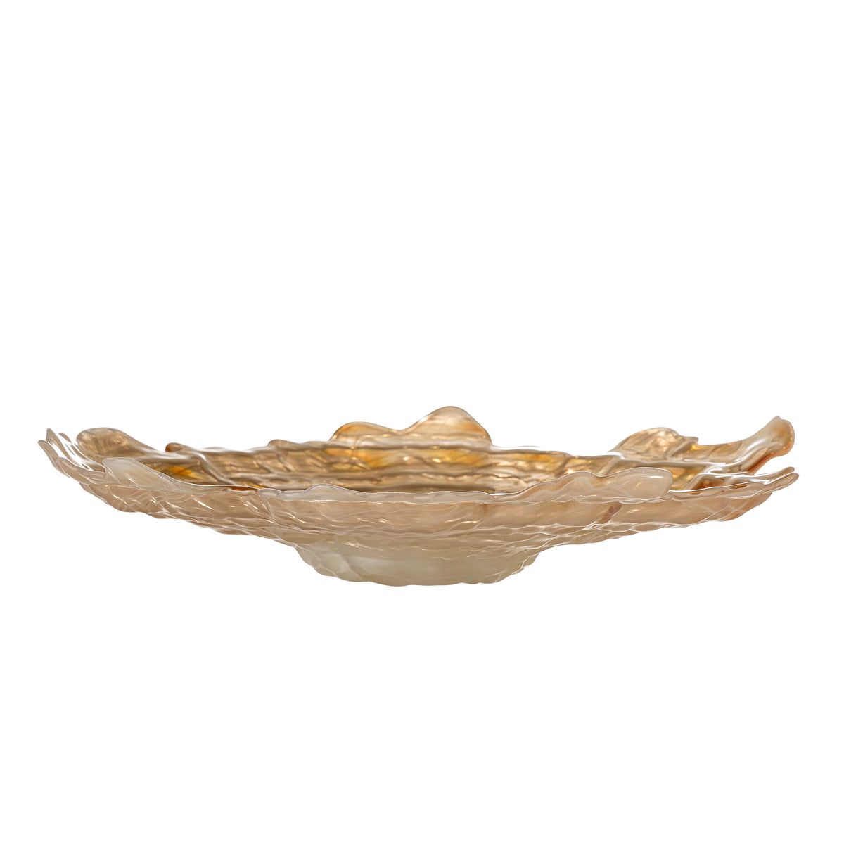 Asimi Skål, Natur, Glas