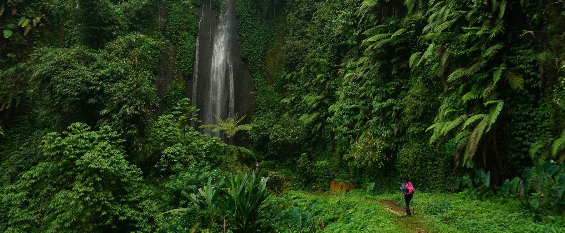 Hvorfor naturrejser giver mental klarhed?