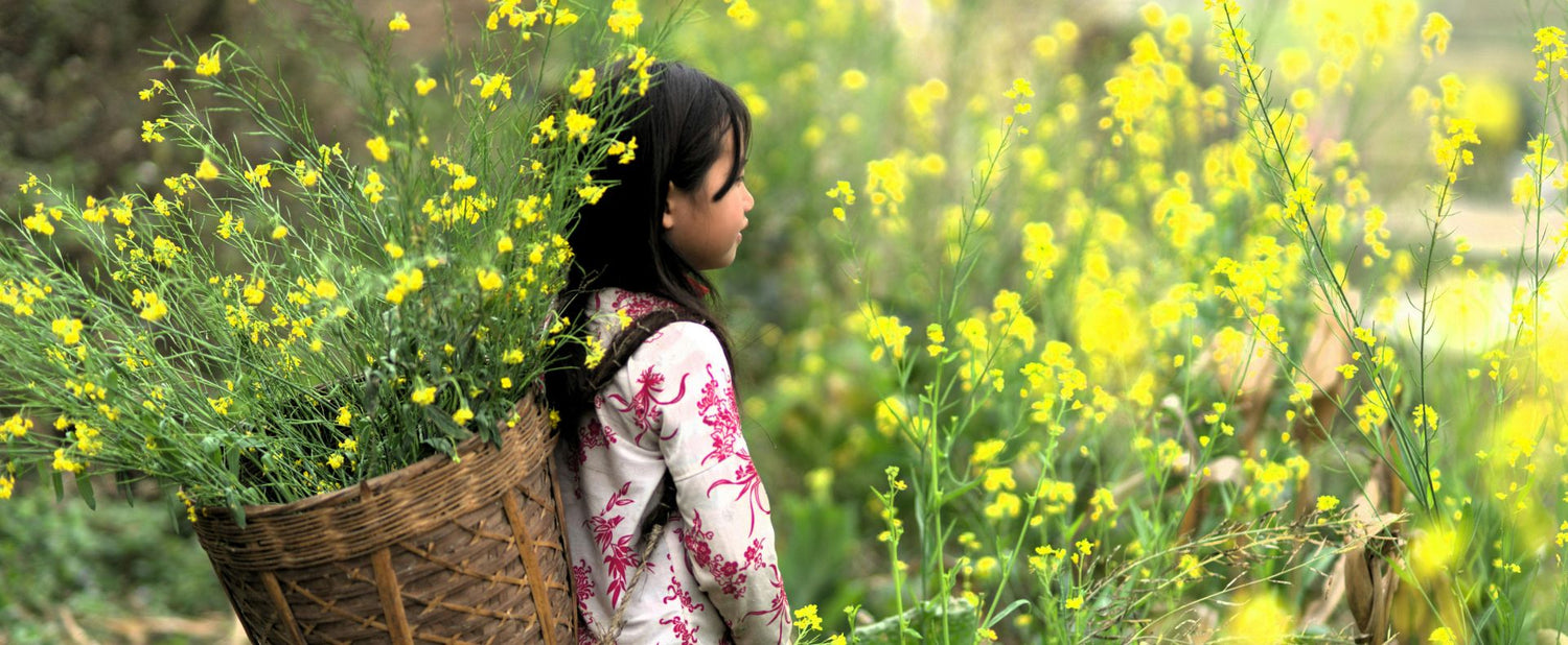 Hvordan skaber man minder uden kamera?