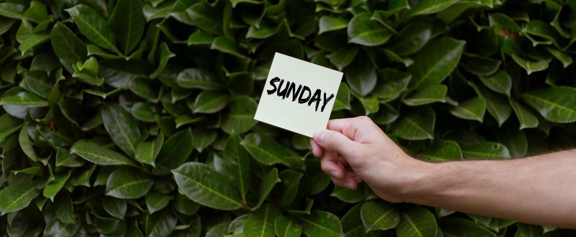 Hvordan du indfører søndagsritualer for refleksion?