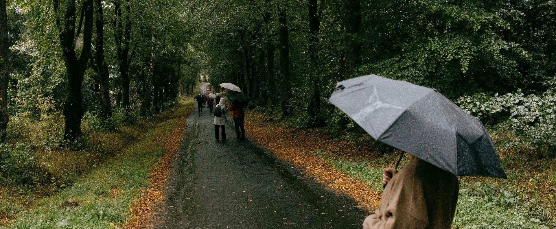 Hvilken regnjakke er bedst til hverdagsbrug i Danmark?
