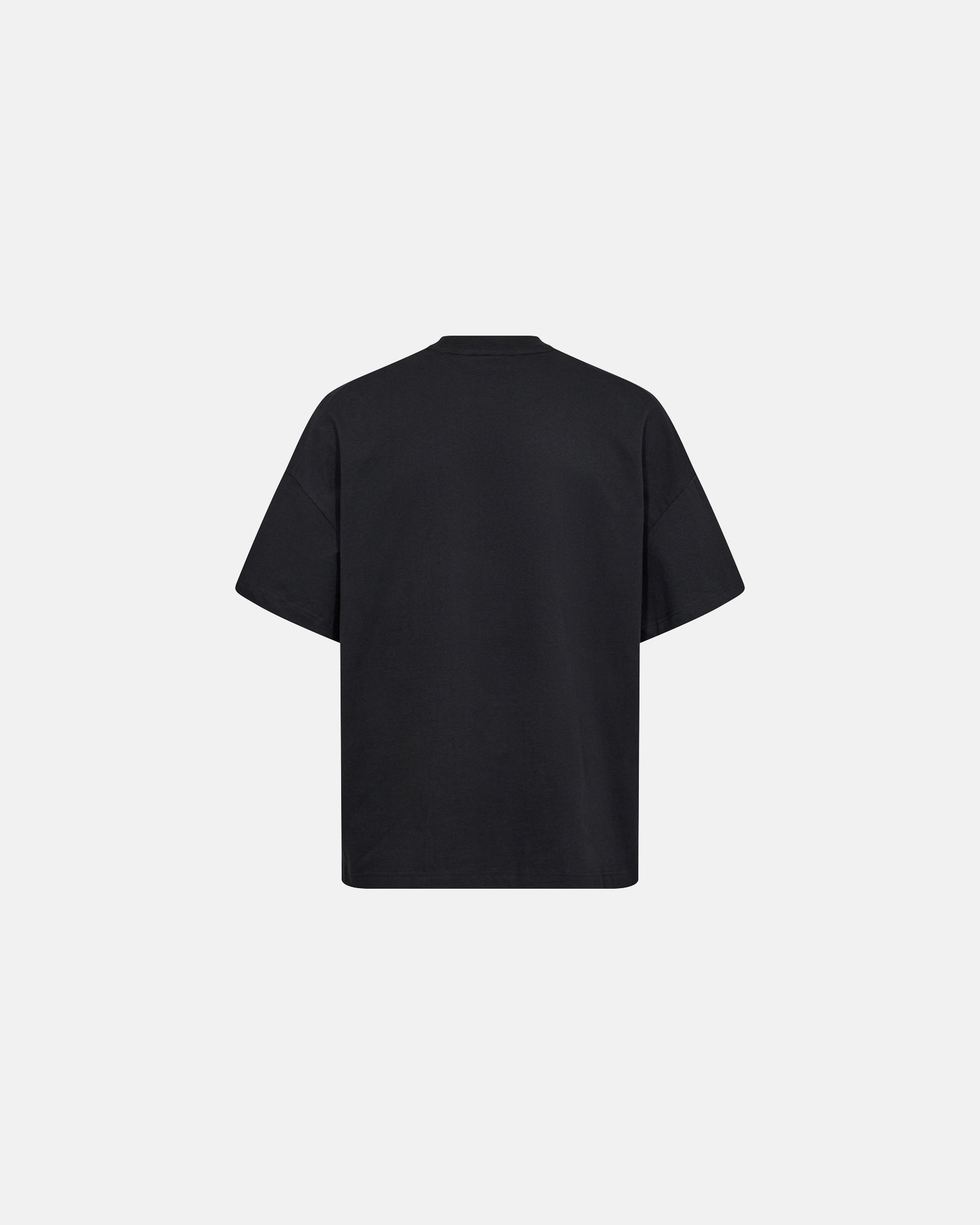 T-SHIRTS - RTDEV BASIC -  - Hr Ravn