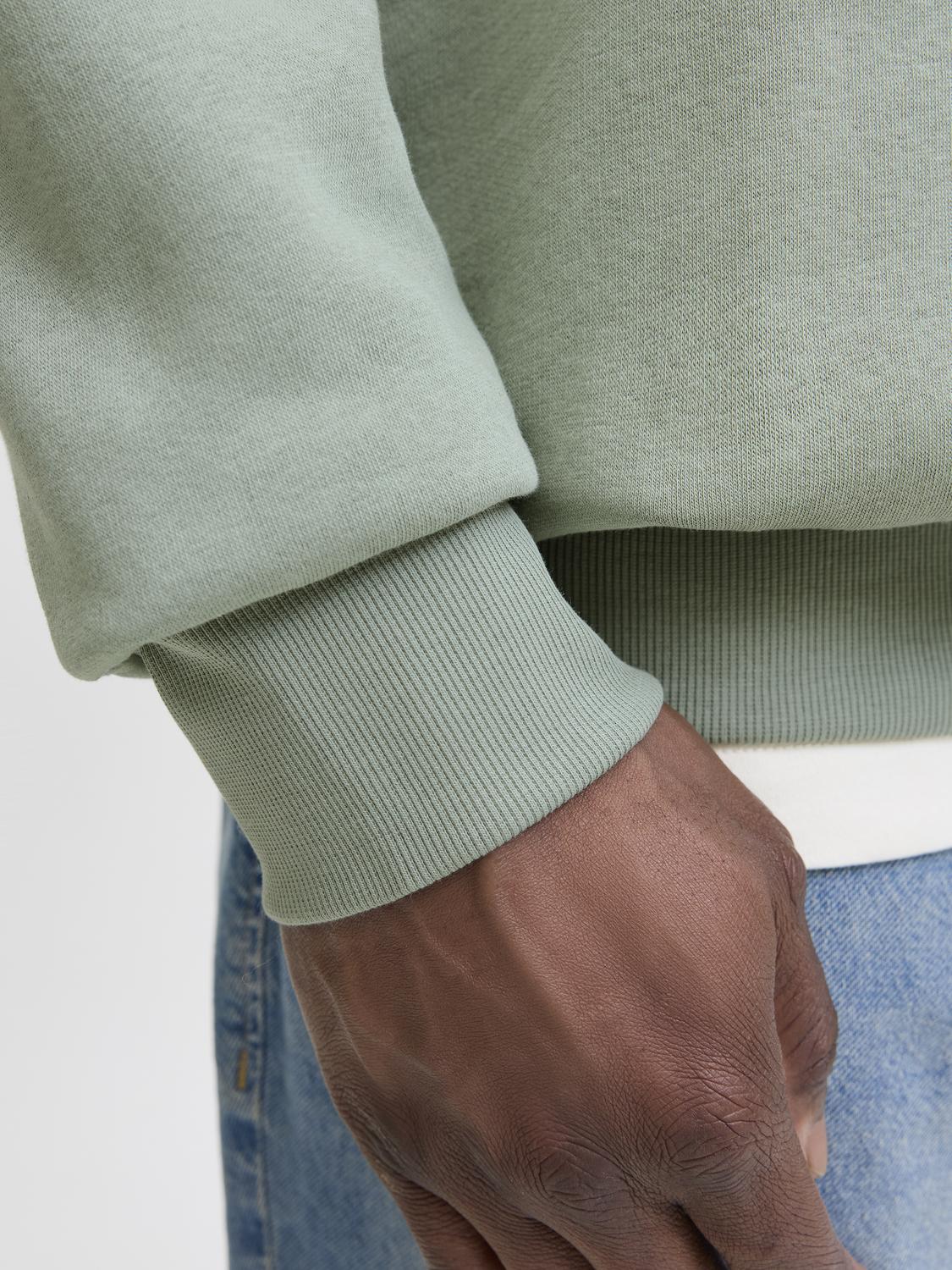 Sweatshirts - Jjelogo Sweat Hood 2 Col 25/26 Noos Pls -  - Hr Ravn