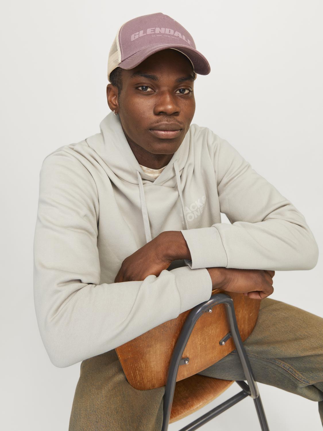 SWEATSHIRTS - Jjecorp Logo Sweat Zip Hood Noos -  - Hr Ravn