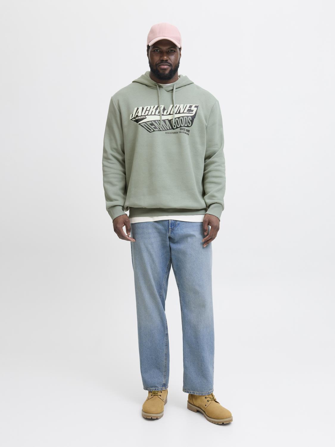 Sweatshirts - Jjelogo Sweat Hood 2 Col 25/26 Noos Pls -  - Hr Ravn