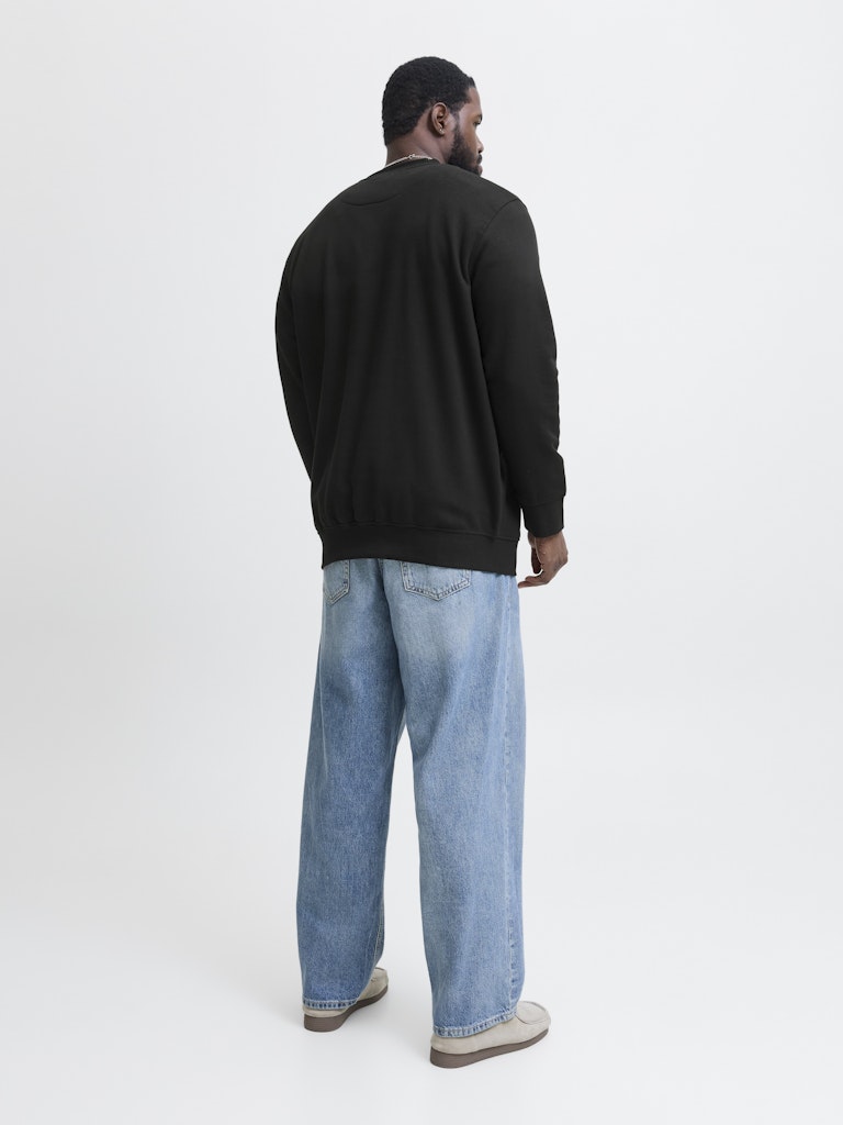 SWEATSHIRTS - Jjesoho Sweat Crew Neck Noos PLS -  - Hr Ravn