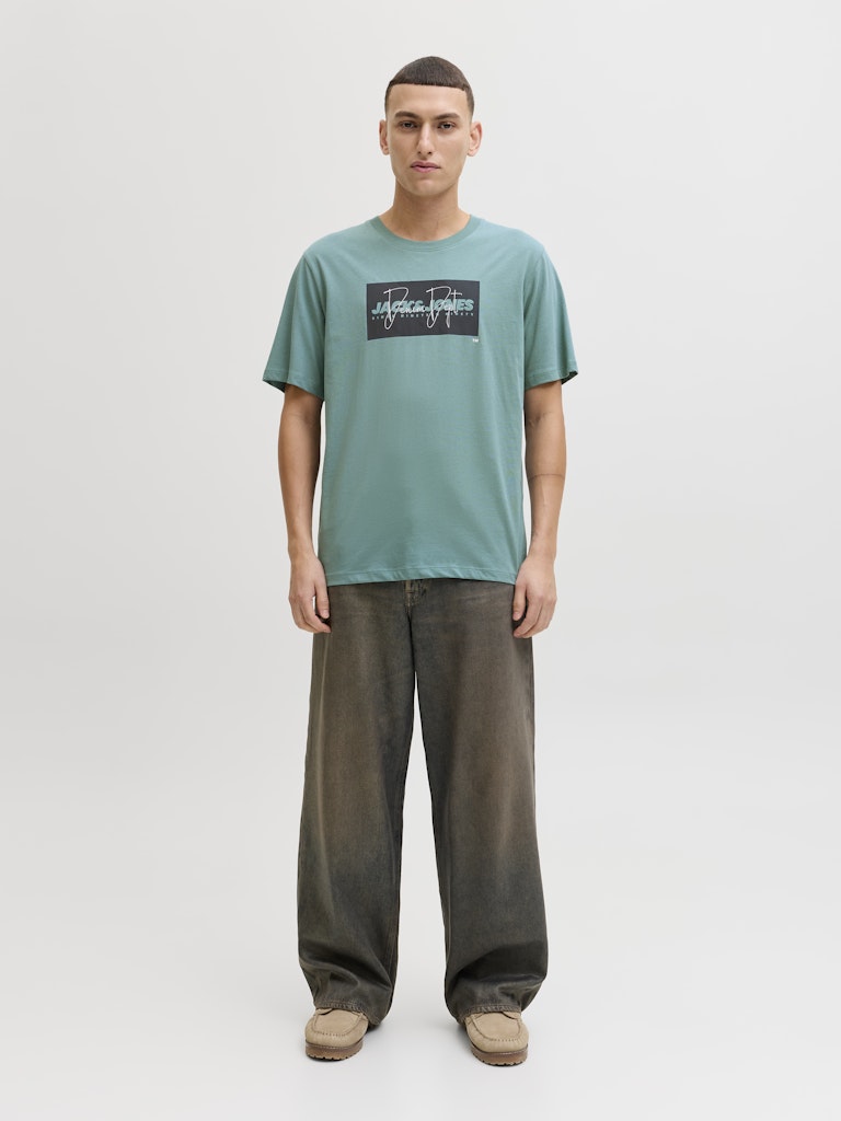 T-SHIRTS - JJCOLE PRINT TEE SS CREW NECK LN -  - Hr Ravn