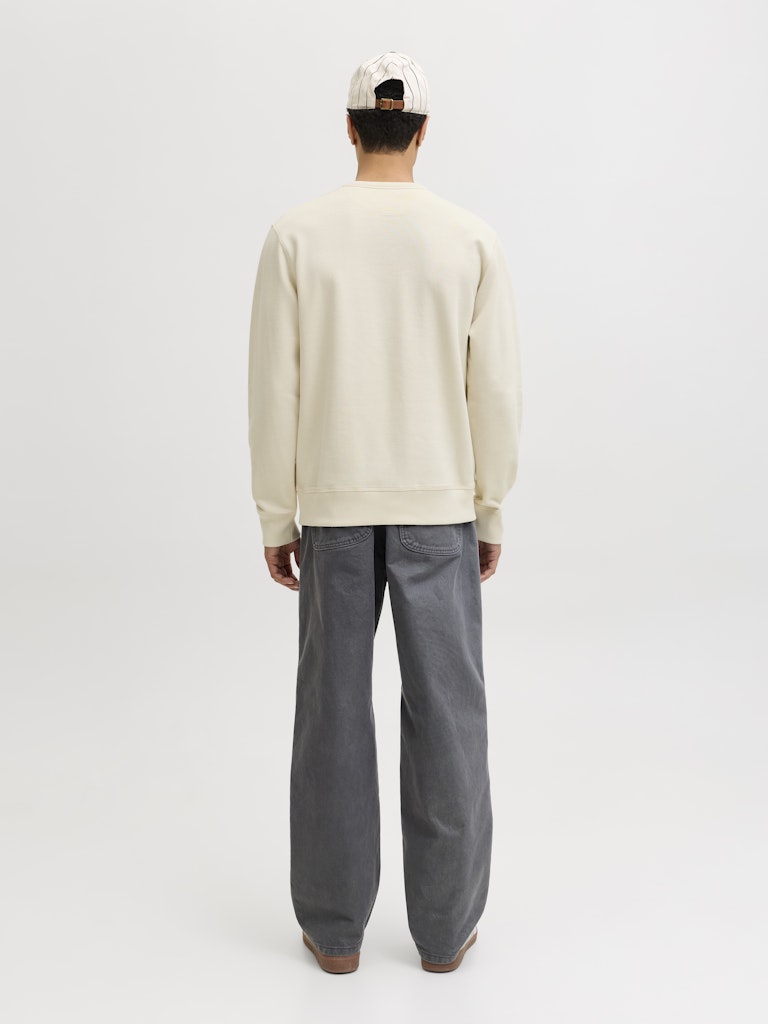 SWEATSHIRTS - JJEDOVER CLASSIC SWEAT CREW NECK SN -  - Hr Ravn