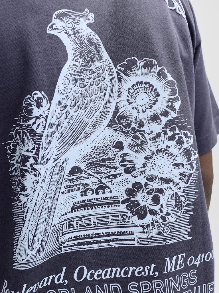 T-SHIRTS - JORMAINE BACK TEE SS CREW NECK SN -  - Hr Ravn