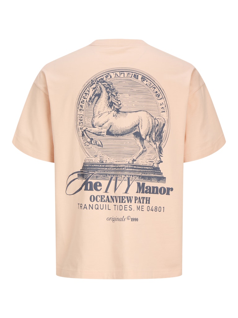 T-SHIRTS - JORMAINE BACK TEE SS CREW NECK SN -  - Hr Ravn