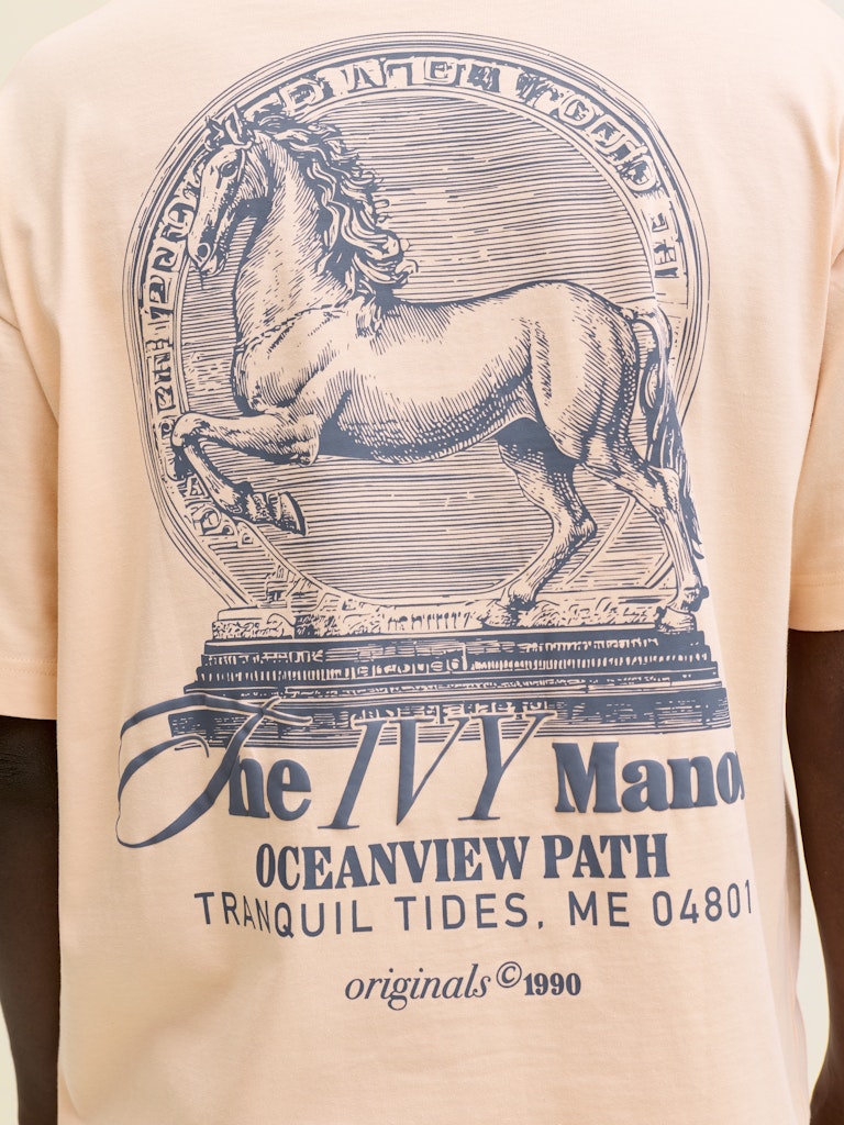 T-SHIRTS - JORMAINE BACK TEE SS CREW NECK SN -  - Hr Ravn