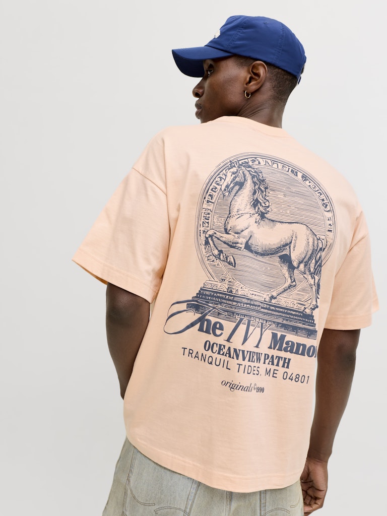 T-SHIRTS - JORMAINE BACK TEE SS CREW NECK SN -  - Hr Ravn