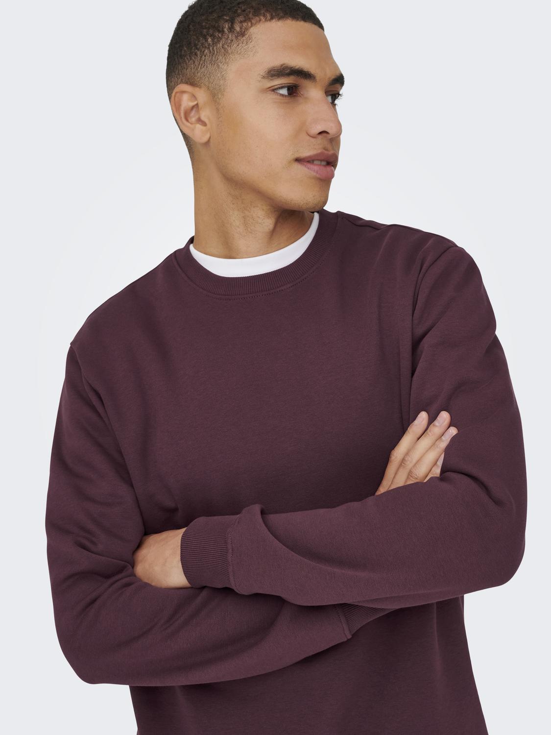 Onsconnor Life Reg Crew Neck Sweat Noos