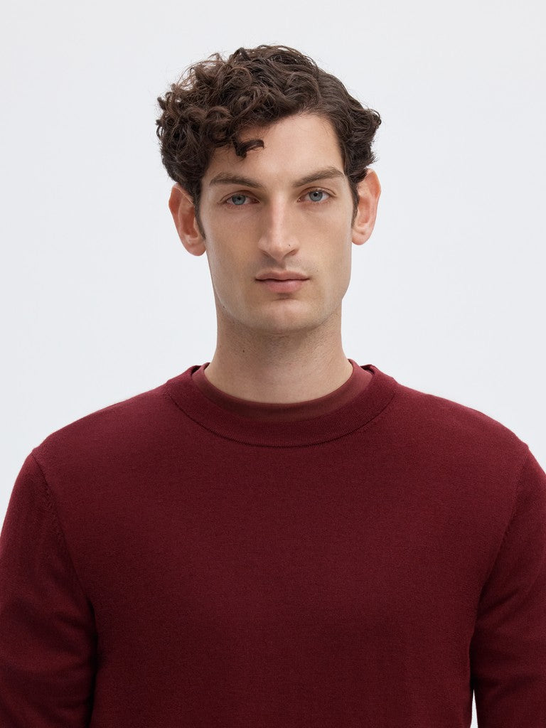 Slhtray Ls Knit Merino Crew Neck Noos