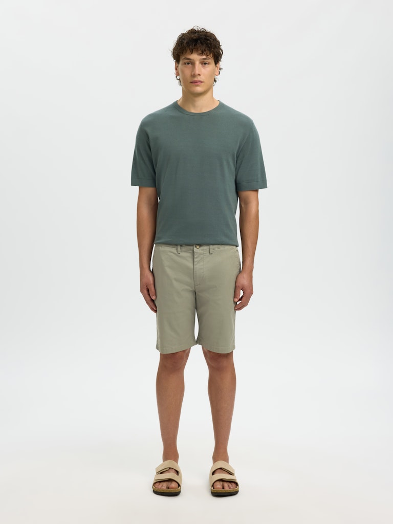 Slhslim-Miles Flex Shorts Noos